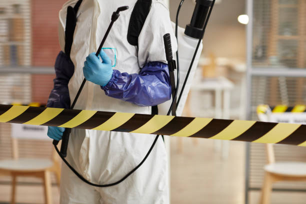 Professional Sewage Cleanup technician working in Princeton, MO